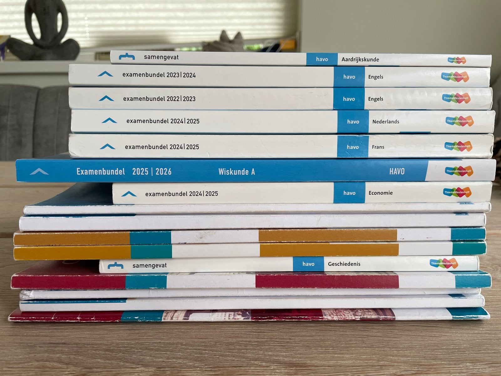Examenbundels en Samengevat HAVO diverse vakken, Boeken, Schoolboeken, Ophalen, Gelezen, HAVO, Aardrijkskunde