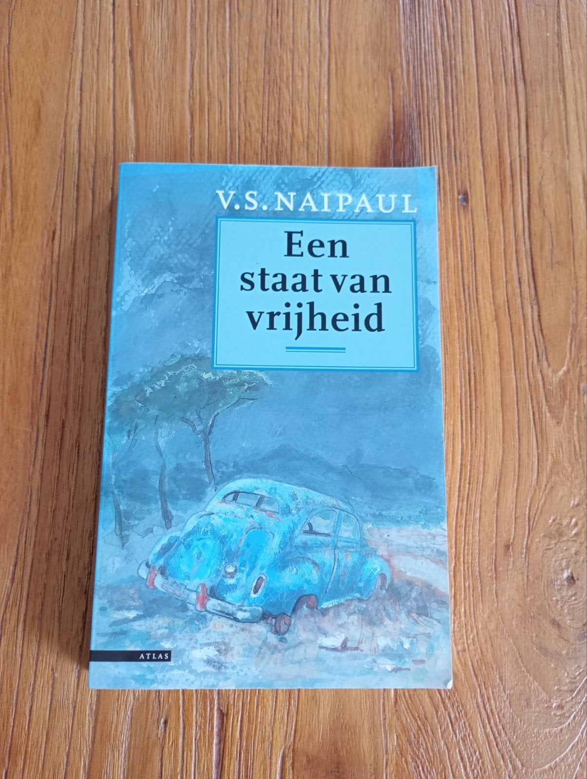 Een Staat van Vrijheid - V.S. Naipaul, Ophalen of Verzenden, Gelezen