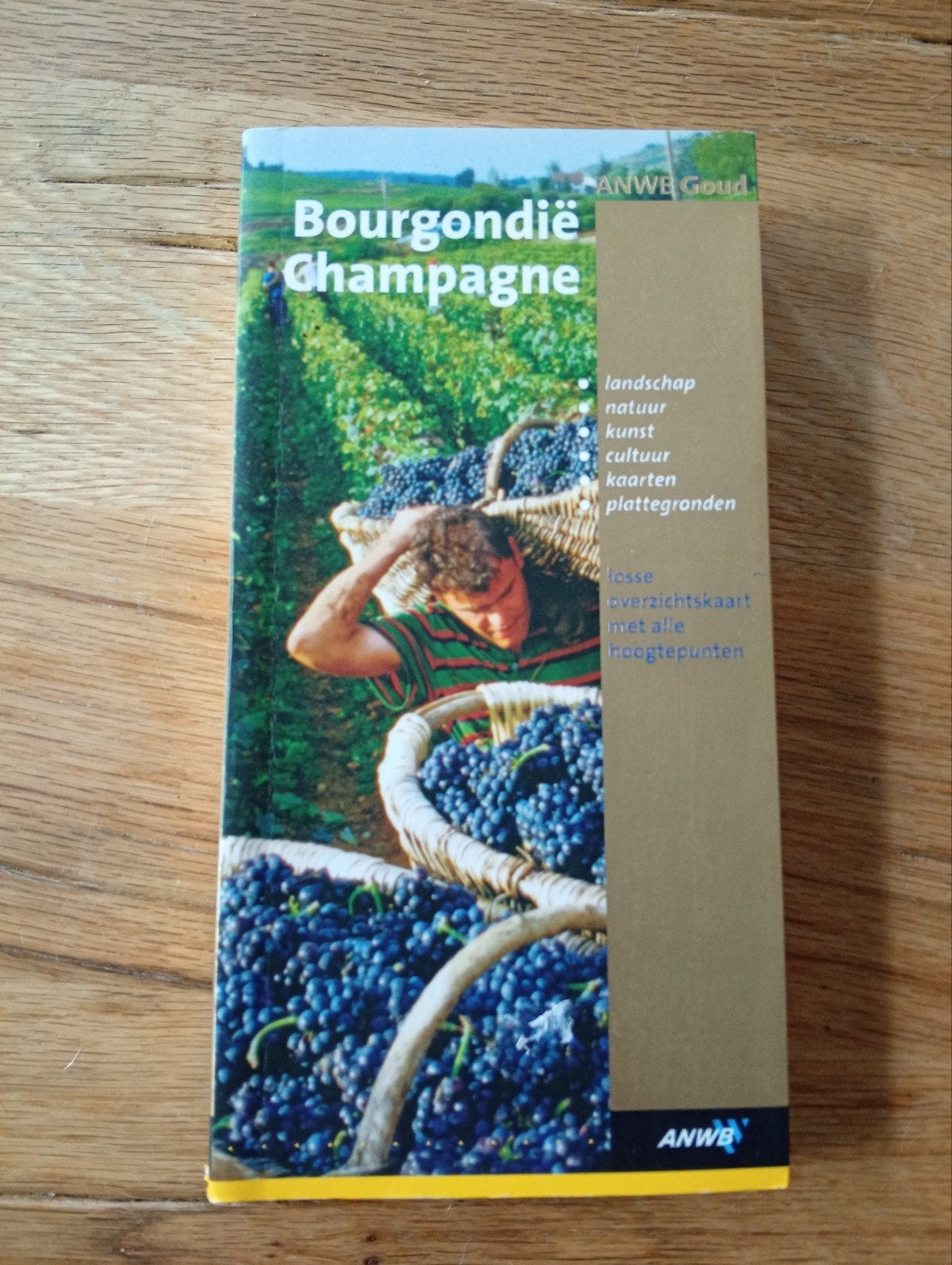 ANWB Goud Reisgids Bourgondië Champagne, Onbekend, Europa, Ophalen of Verzenden, Zo goed als nieuw