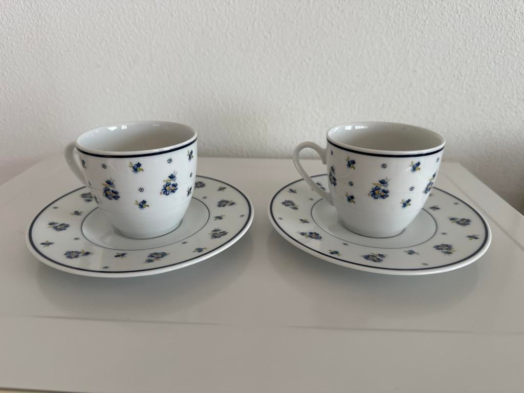 2 Bavaria Heinrich Winterling kop en schotels - bloemdecor, Ophalen of Verzenden, Zo goed als nieuw, Overige stijlen, Kop(pen) en/of Schotel(s)