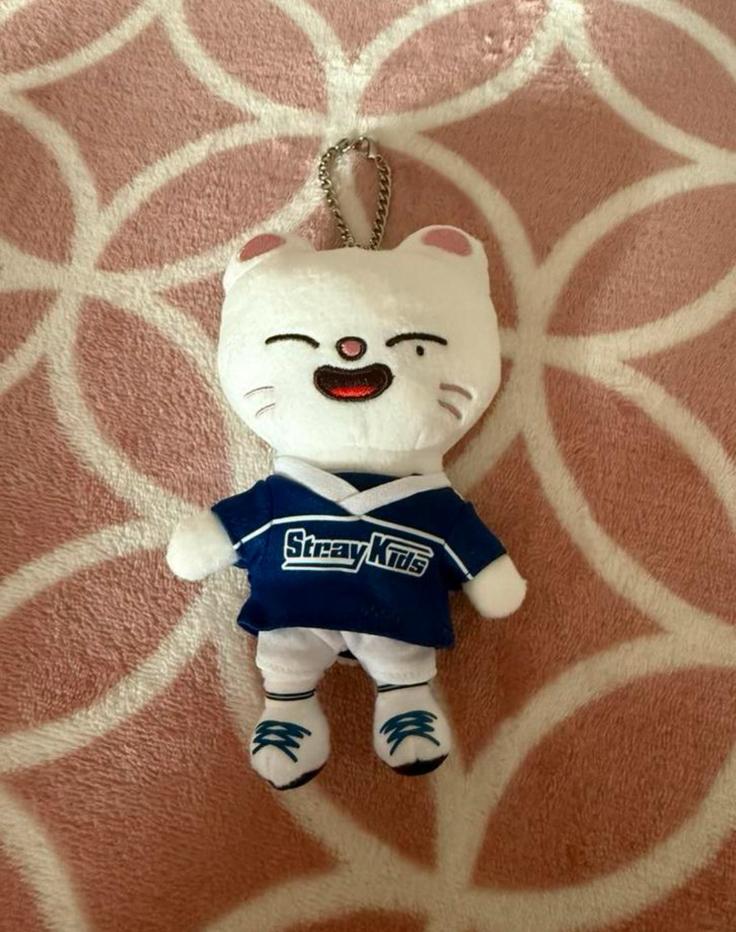 Stray Kids SKZOO Jiniret bag charm plush, Ophalen of Verzenden, Zo goed als nieuw