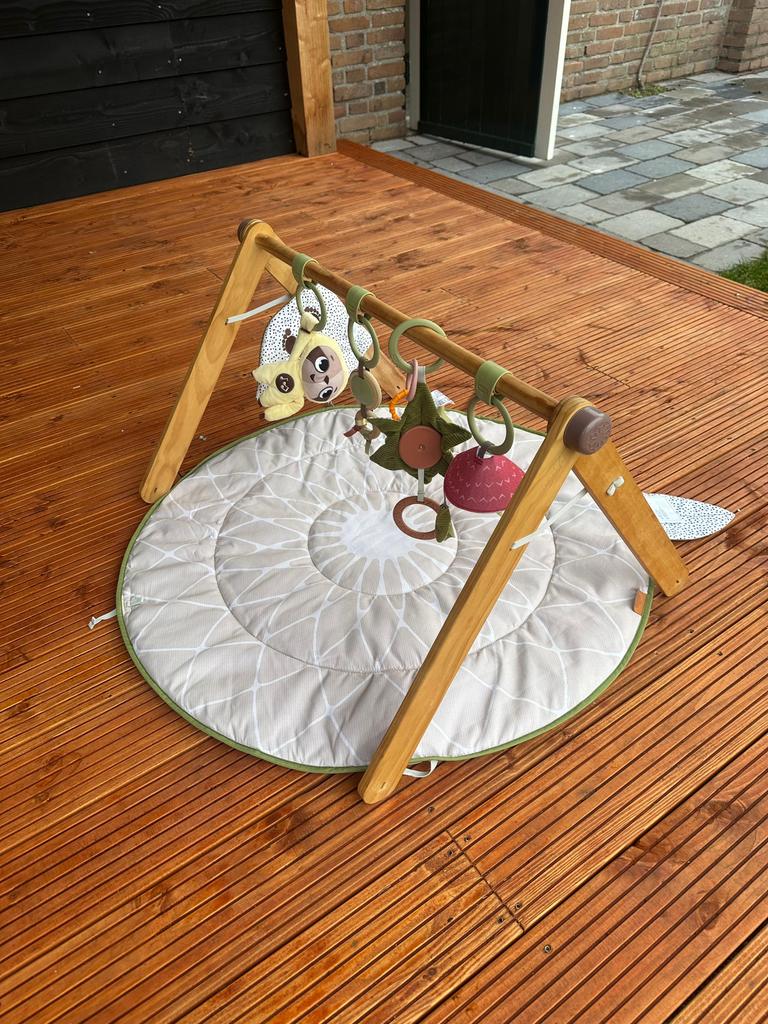 Tiny love babygym, Ophalen, Zo goed als nieuw