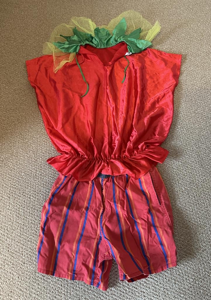 Carnavalskleding: Kind Shirt (aardbei) + broek (maat 164), Kleding | Dames, Party Mode Nuenen, Etirel, Carnaval, Ophalen of Verzenden