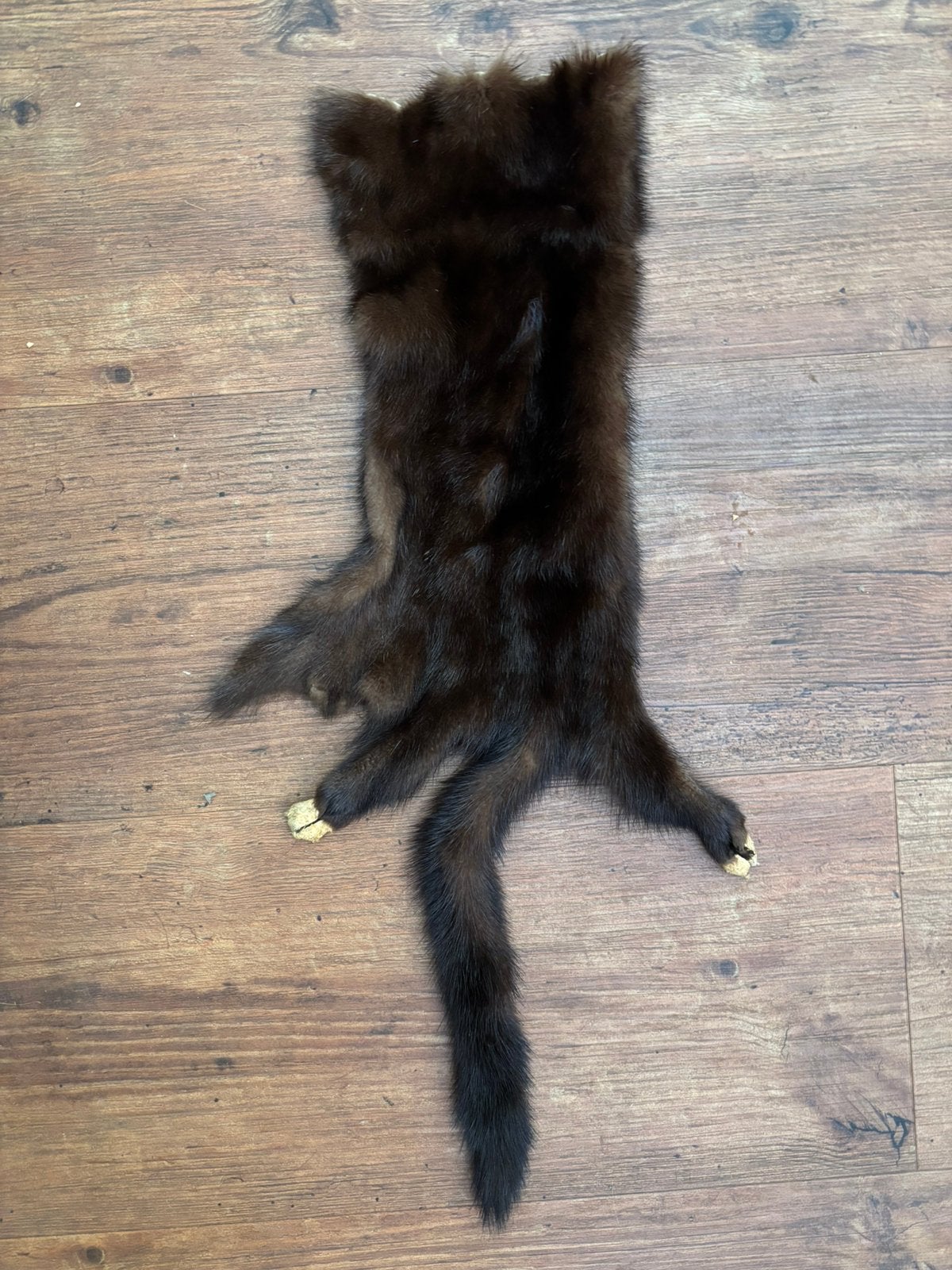 Nerts vachtje 65 cm met staart 20 cm breed, Verzenden