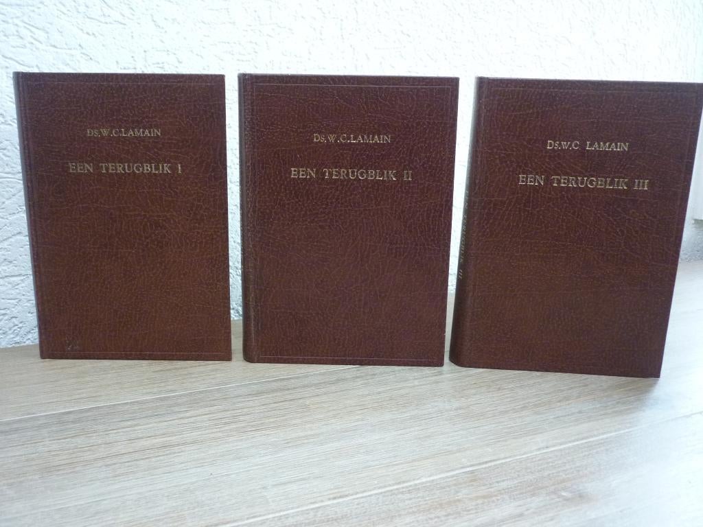 Ds. W.C. Lamain - Een terugblik deel 1, 2 en 3 (compleet), Boeken, Ophalen of Verzenden, Gelezen, Christendom | Protestants