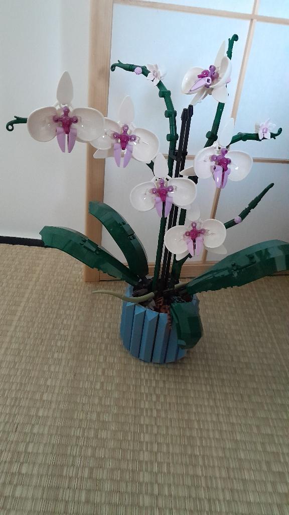Lego botanicals, Ophalen, Overige thema's, Lego, Zo goed als nieuw