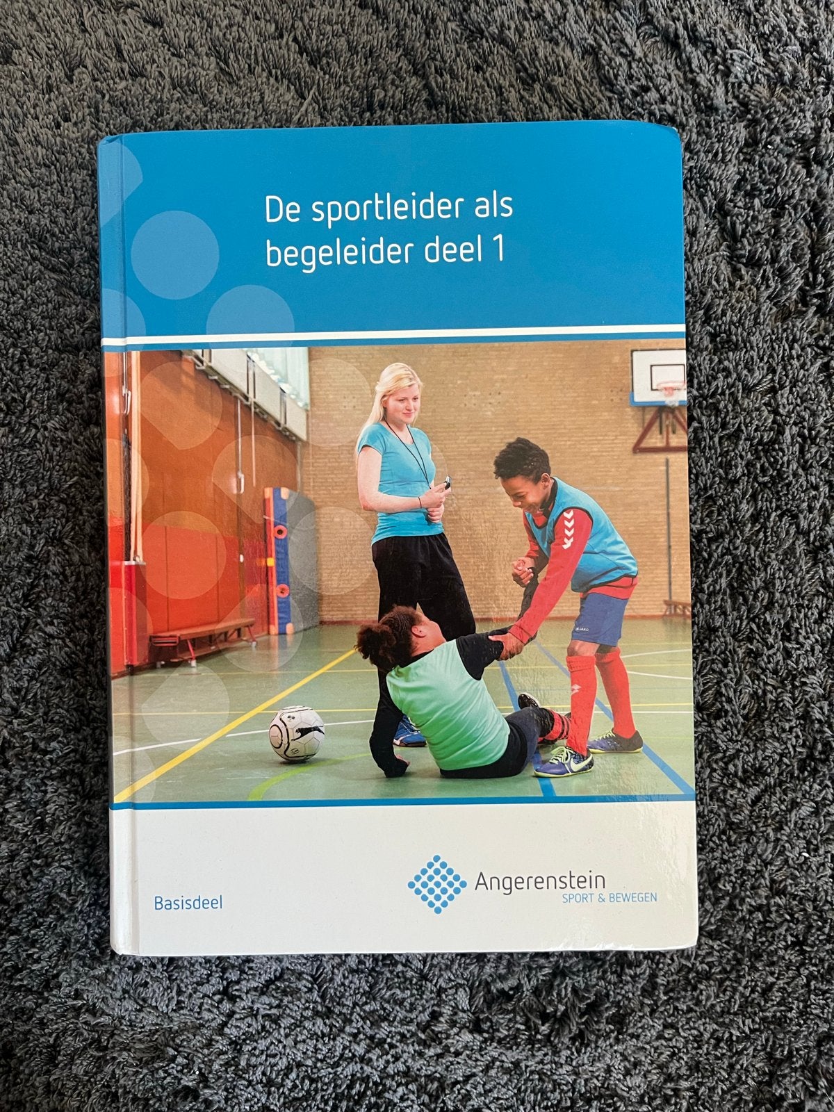 De sportleider als begeleider deel 1 - Angerenstein, Boeken, Ophalen of Verzenden, Gamma, Gelezen, MBO