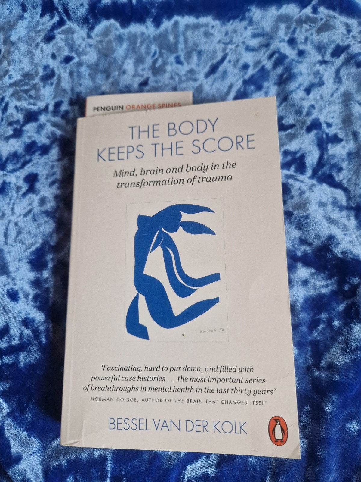 The Body Keeps the Score - Bessel van der Kolk, Boeken, Ophalen of Verzenden, Zo goed als nieuw, Klinische psychologie, Bessel van der Kolk