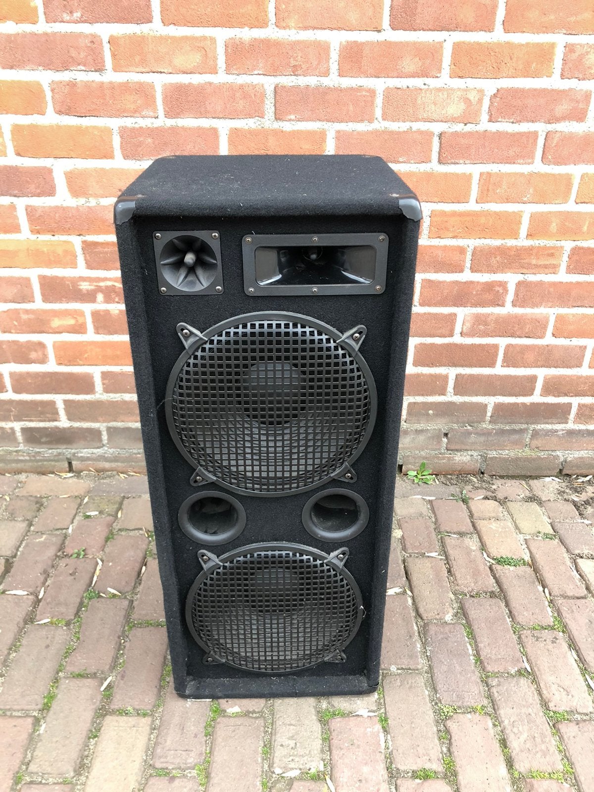 Omnitronic DX-2222 speaker 1000 watt, Audio, Tv en Foto, Luidsprekers, Gebruikt, Overige typen, Ophalen of Verzenden, 150 watt of meer