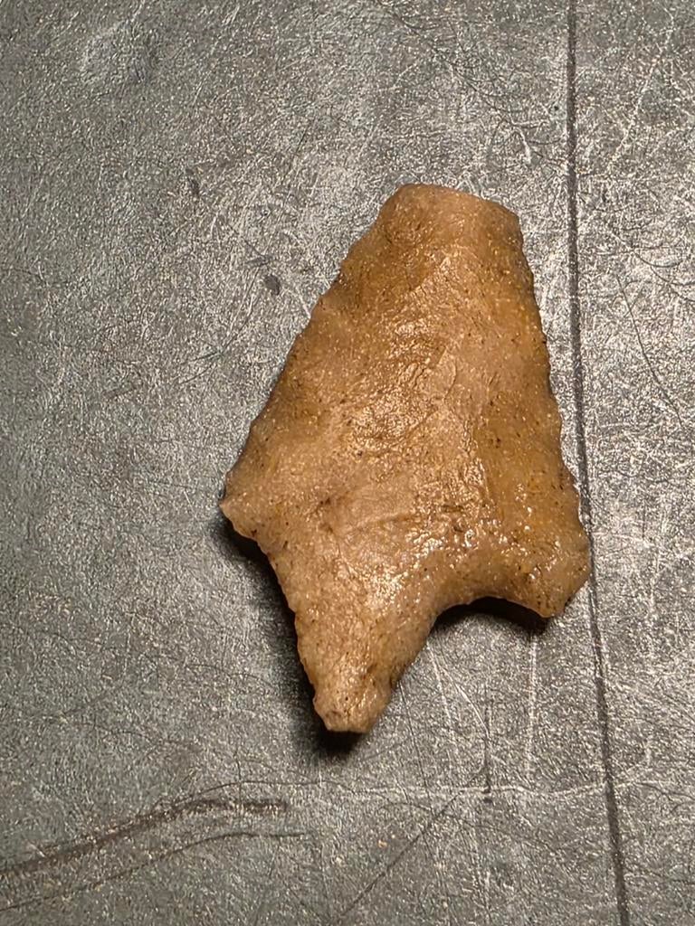 Pijlpunt uddel, Verzamelen, Mineralen en Fossielen, Ophalen of Verzenden