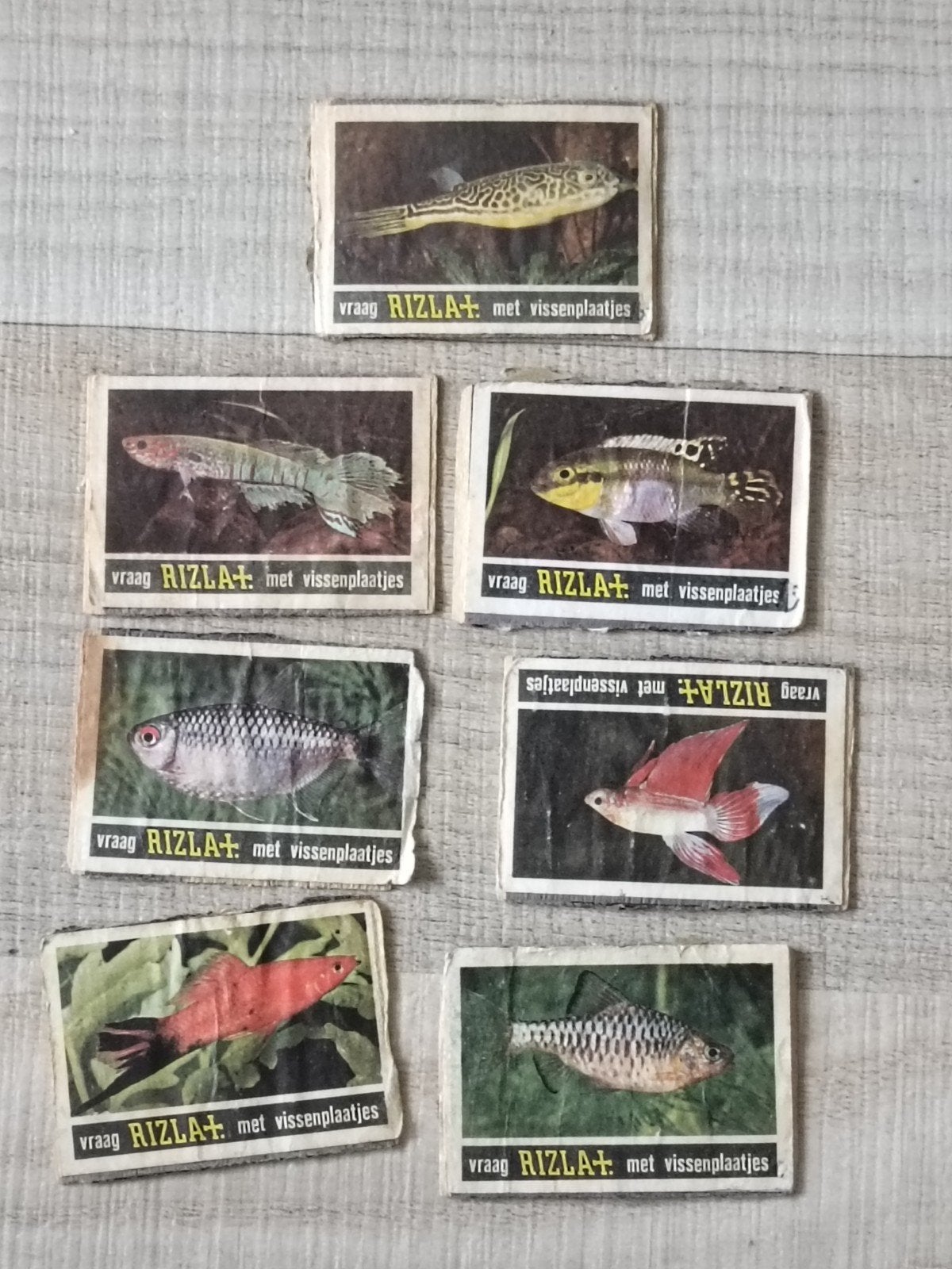 Vintage Rizla Vissenplaatjes, Ophalen of Verzenden, Gebruikt, Overige soorten, Overige typen