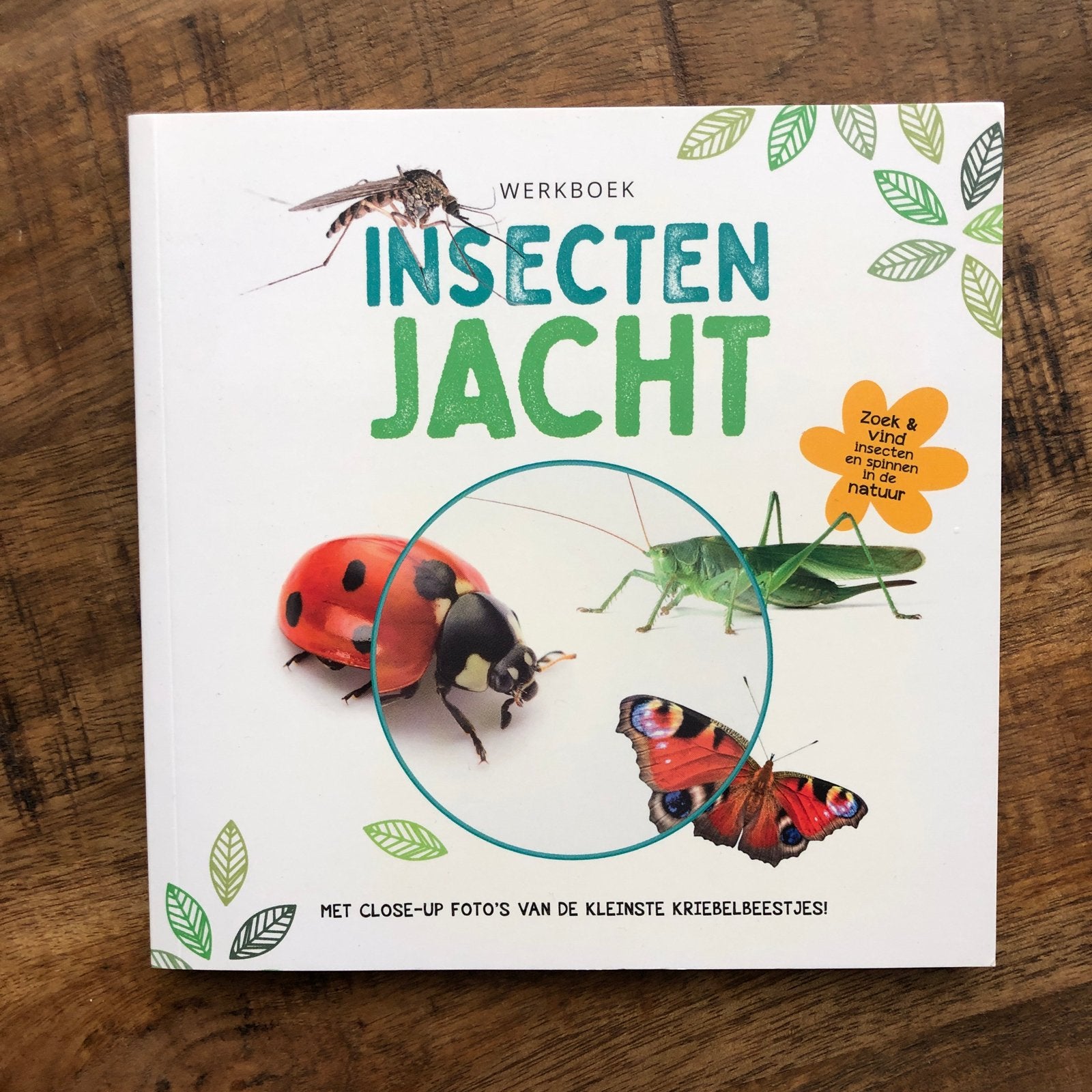 Werkboek Insecten Jacht - Zoek & Vind Kriebelbeestjes, Ophalen of Verzenden, Zo goed als nieuw, Overige diersoorten