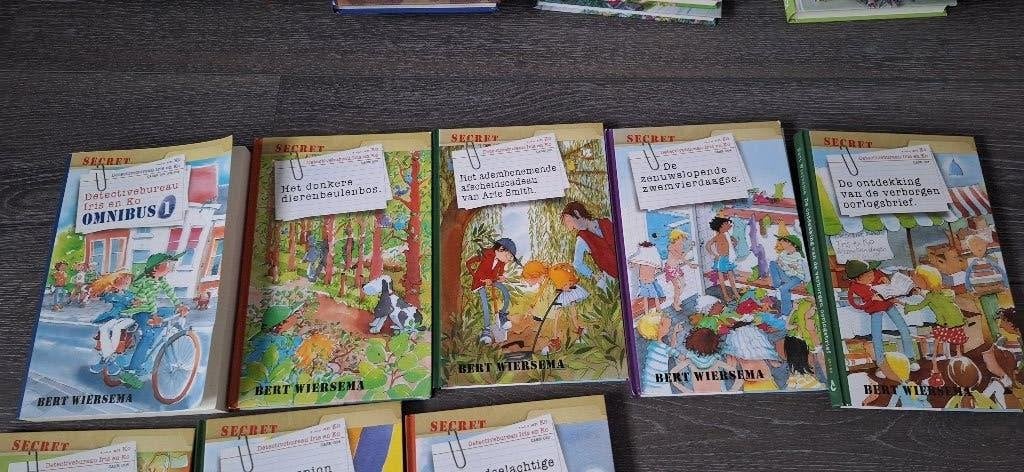 Detective bureau iris en ko van bert wiersema, Boeken, Ophalen of Verzenden, Gelezen, Fictie algemeen