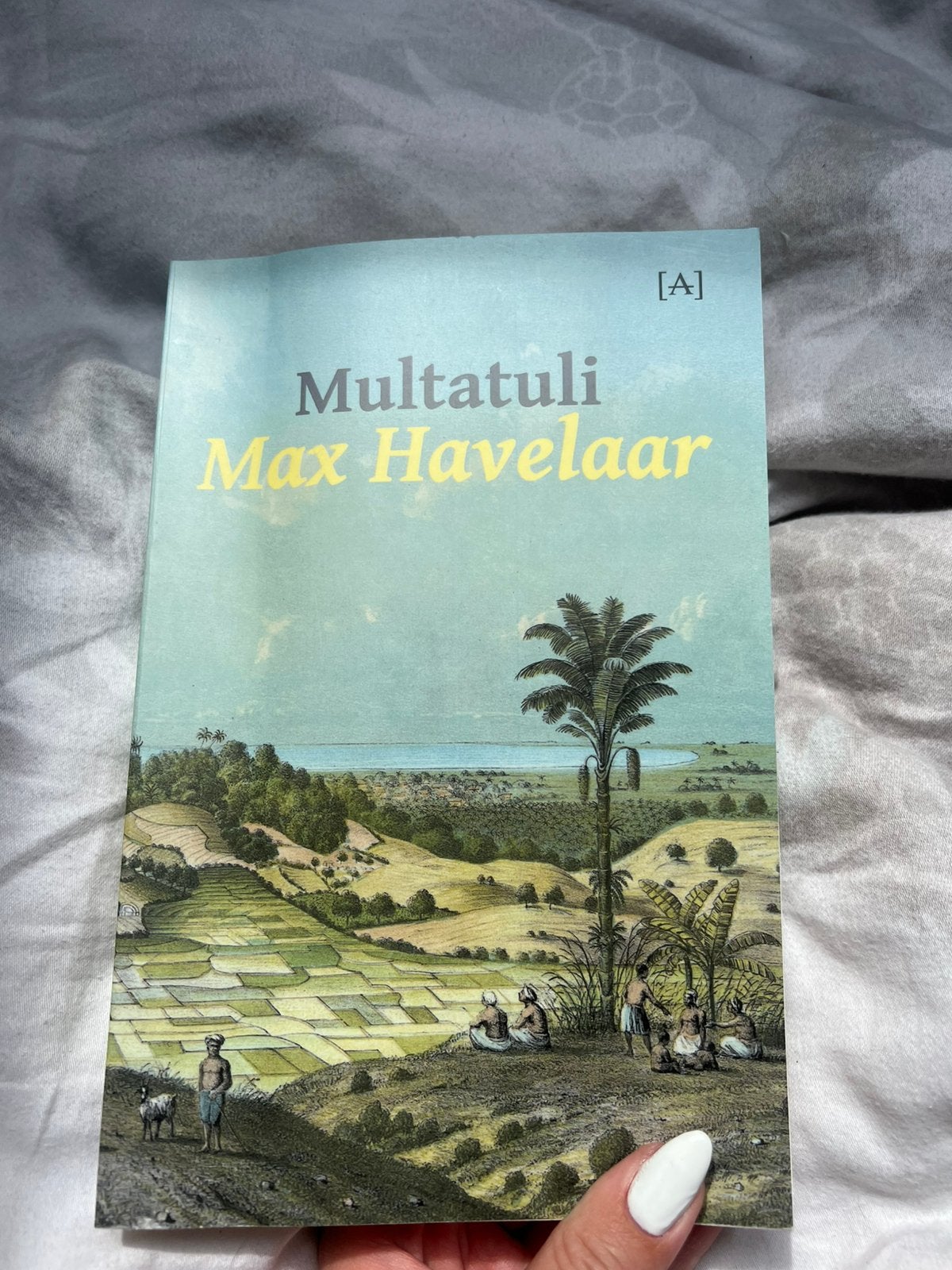 boek: Max Havelaar door Multatuli, Ophalen of Verzenden, Zo goed als nieuw