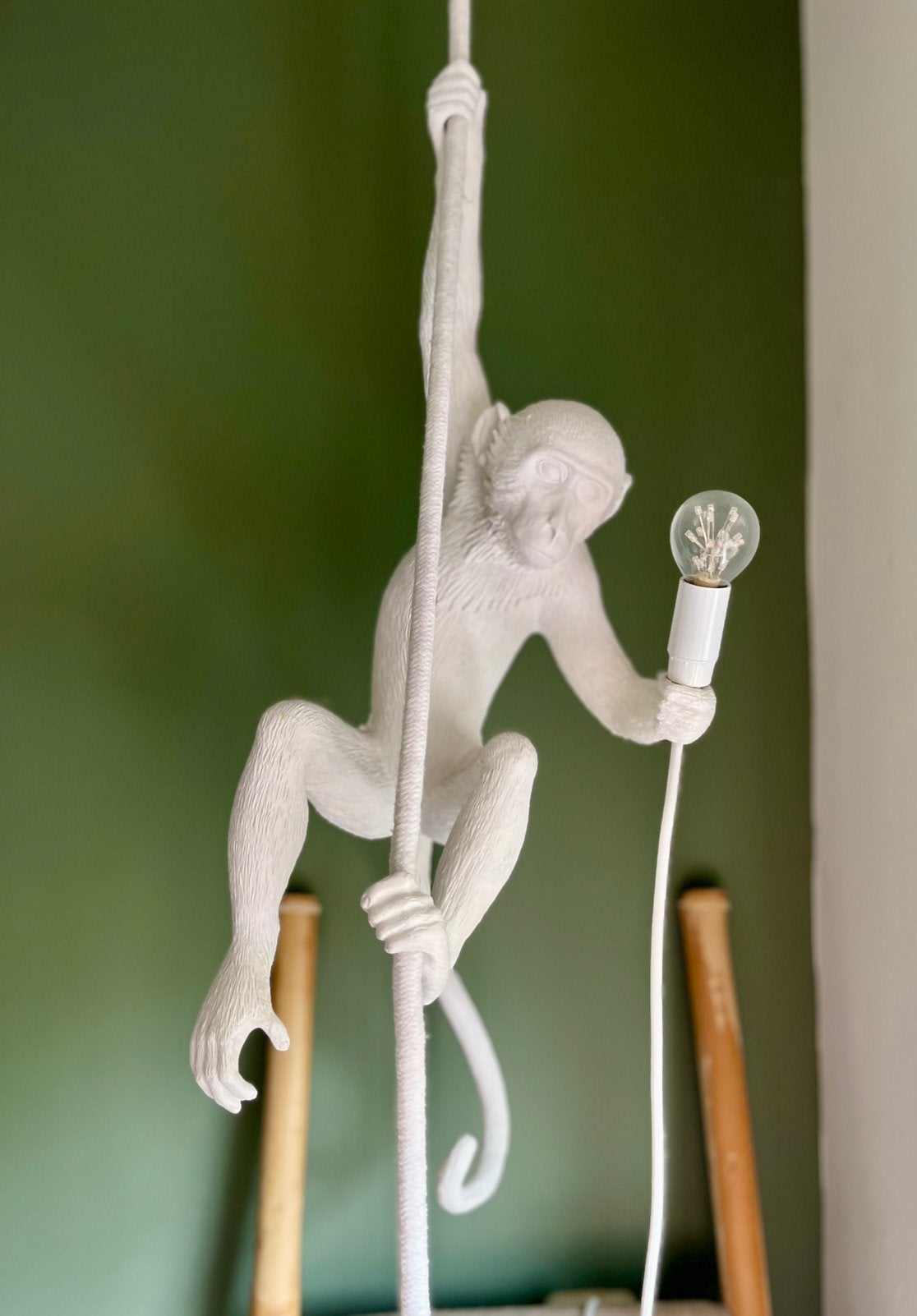 Seletti hanglamp monkey, Ophalen, Gebruikt