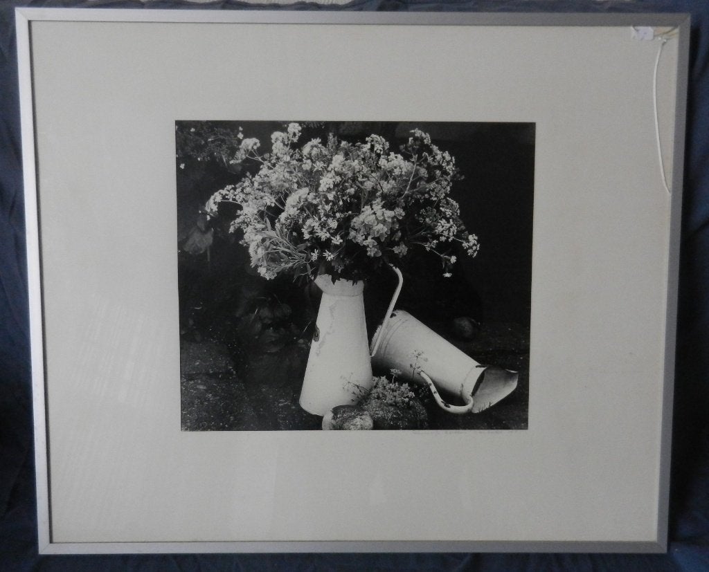Fotokunst Veenboeket Dieuwertje Roebbers(?) 1981 hxb 29x33, Ophalen of Verzenden