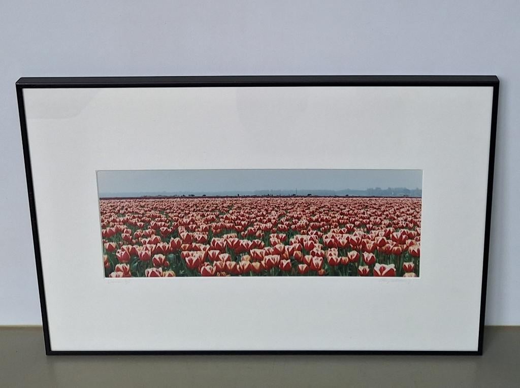 kunstfoto Elly Valkering Limmen tulpen bollenveld gesigneerd, Antiek en Kunst, Kunst | Tekeningen en Foto's, Ophalen of Verzenden