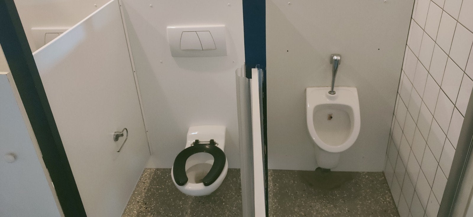 (Kinder)toiletgroep met 1 toilet 2 kindertoiletten 1 urinoir, Ophalen, Gebruikt, Toilet