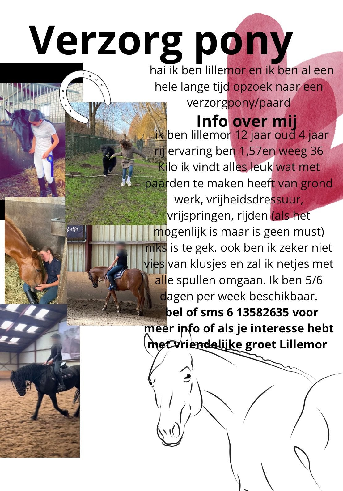 Verzorg/bijrijd pony gezocht s-hertogenbosch/berlicum, Eén persoon