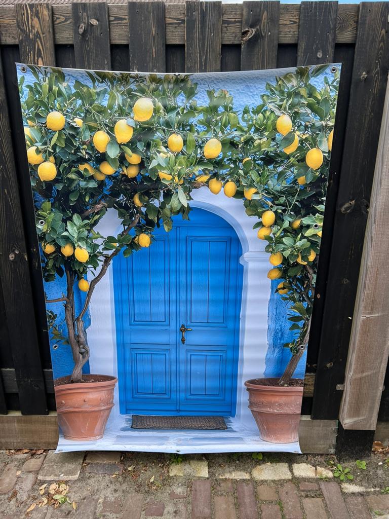 Tuinposter mega whow ! €25,/, Tuin en Terras, Tuinwanddecoratie, Ophalen, Nieuw