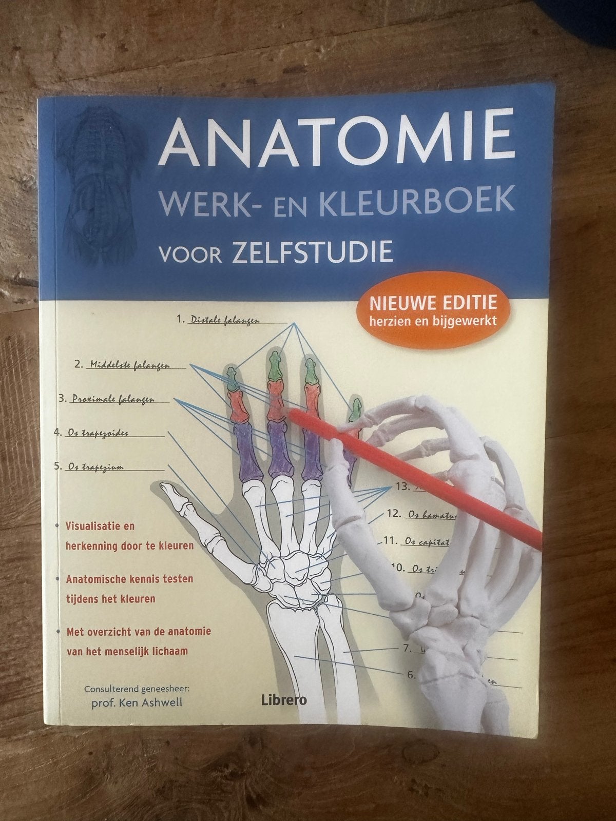 Anatomie Werk- en Kleurboek voor Zelfstudie - Nieuwe Editie, Boeken, Ophalen of Verzenden, Beta, Nieuw, HBO