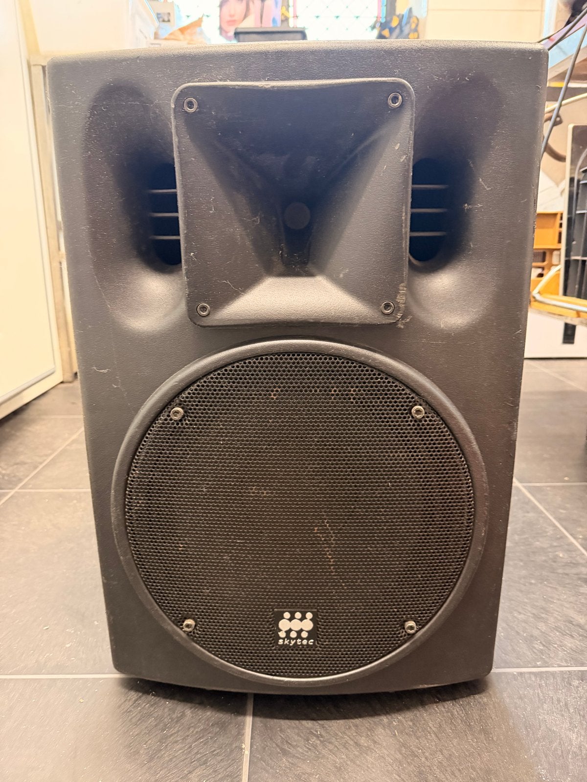2 x Skytec passieve luidspreker 300W RMS, Vloerstaande luidspreker, Gebruikt, Ophalen, 150 watt of meer