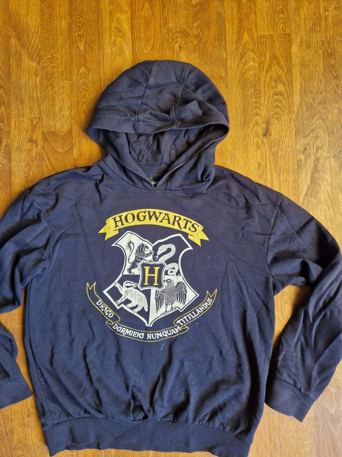 Harry Potter hoodie maat 146-152, Kinderen en Baby's, Gebruikt, Jongen of Meisje, Trui of Vest, Ophalen of Verzenden