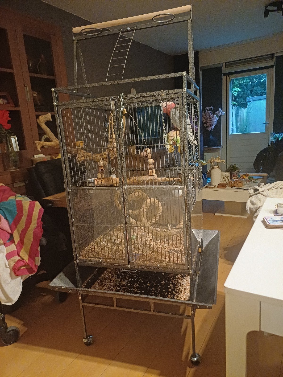vogelkooi, Ophalen, Zo goed als nieuw, Metaal, Vogelkooi