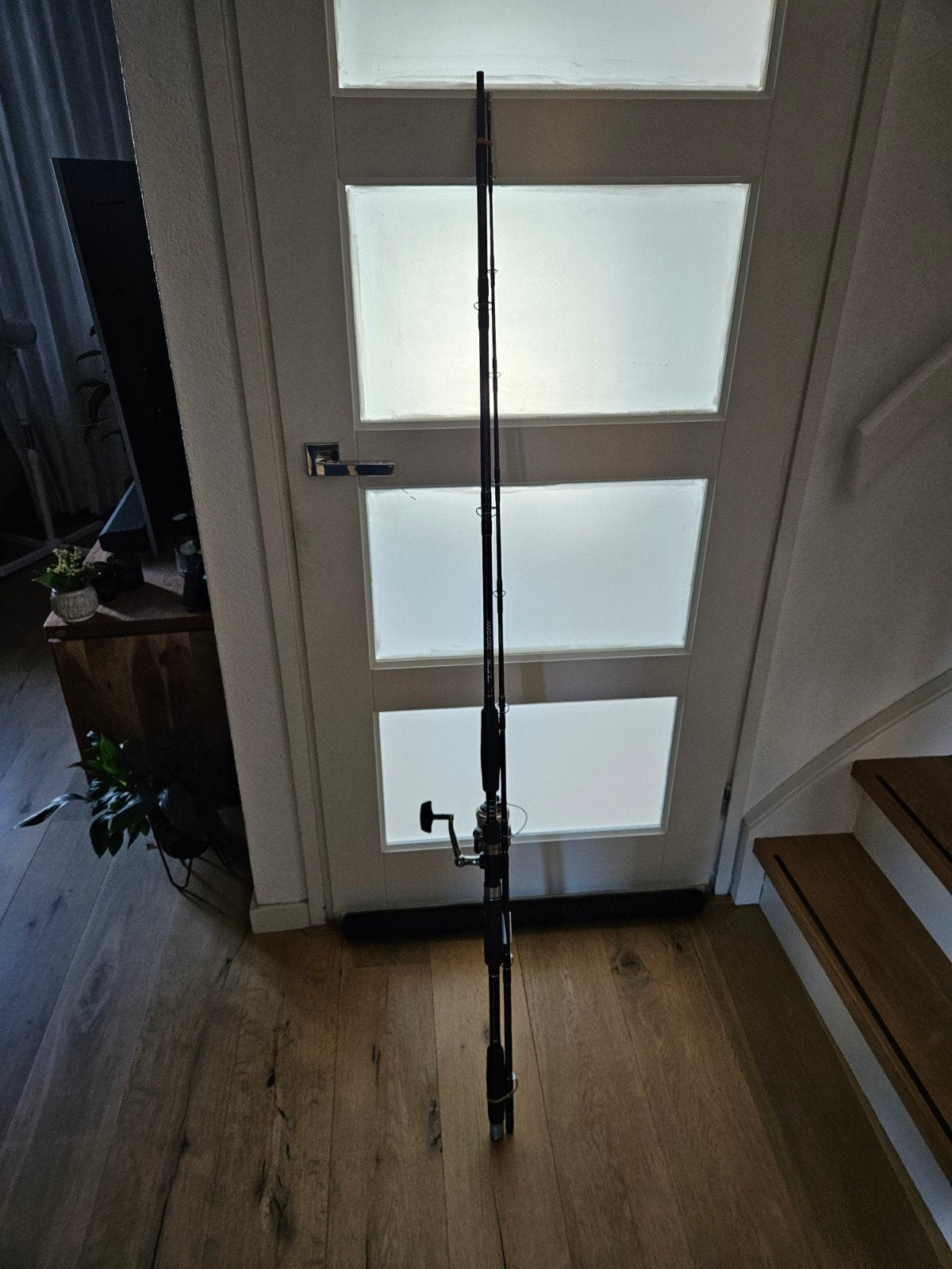 meerval hengel met molen, Watersport en Boten, Hengelsport | Roofvissen, Ophalen, Molen