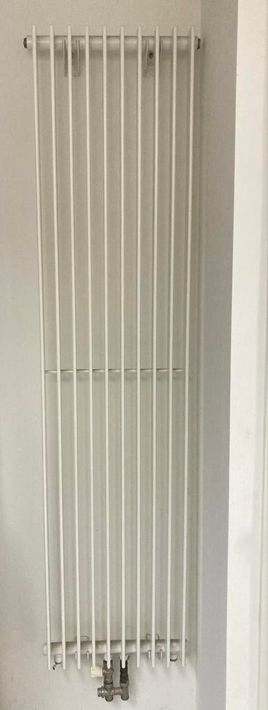 Design verticale radiator Vasco Tulipa TV1 180x45 cm, Doe-het-zelf en Verbouw, Verwarming en Radiatoren, Ophalen, Radiator, Minder dan 60 cm