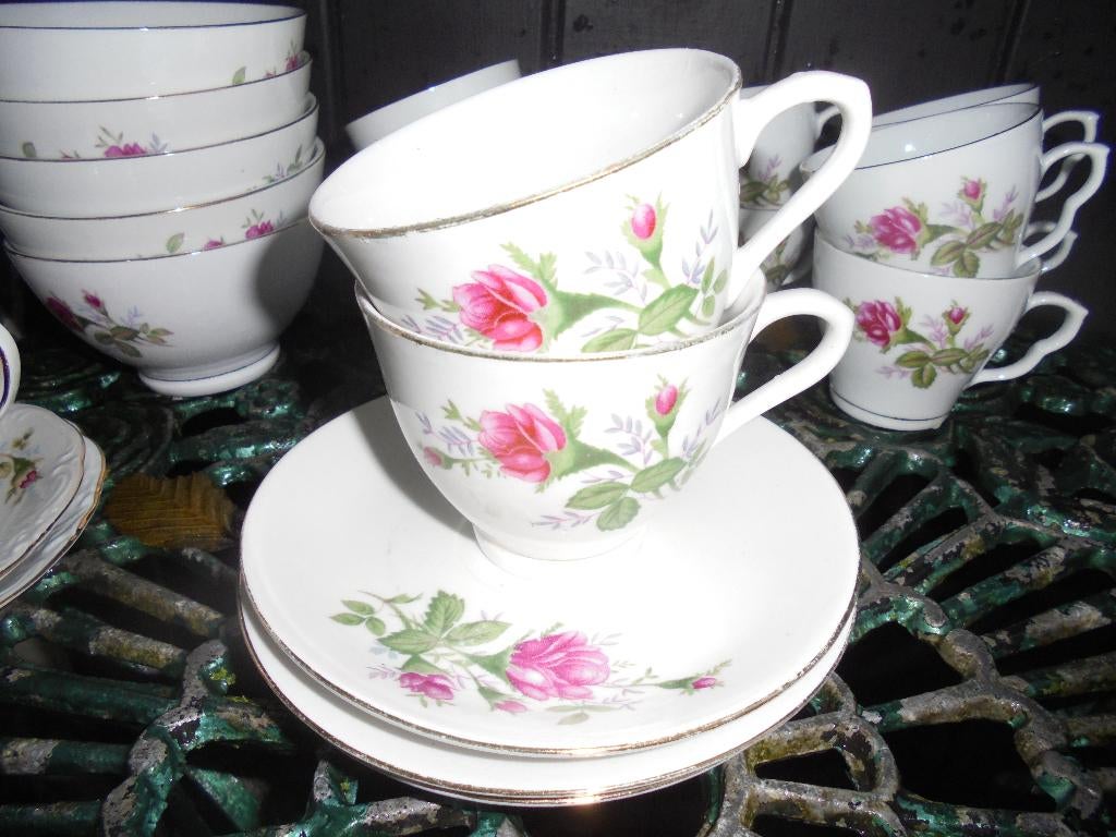 2 x Koffie kop en schotel met wilde roze struik roos, Ophalen of Verzenden