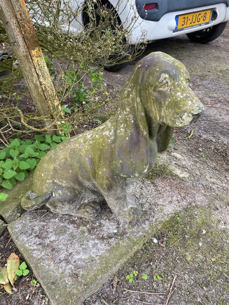 Hond, Ophalen, Gebruikt