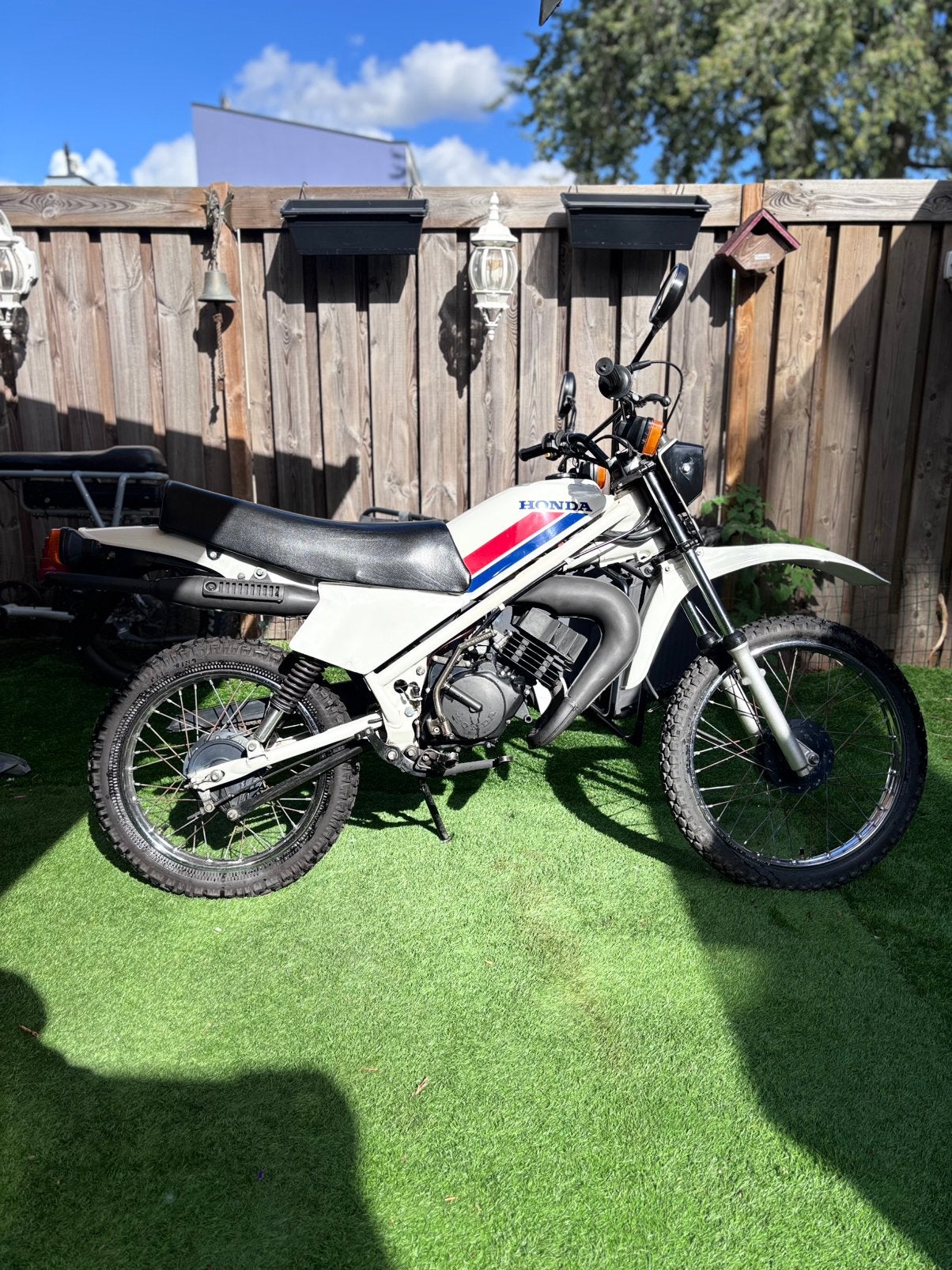 Honda MT5 Japans 1979, Fietsen en Brommers, Brommers | Honda, Maximaal 45 km/u, Ophalen of Verzenden, Zo goed als nieuw, MT