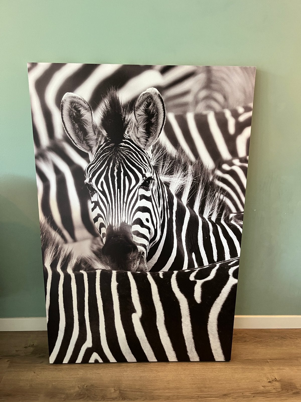 Grote Canvas Zebra’s 115x75 cm Nieuwstaat, Ophalen, Zo goed als nieuw, Schilderij