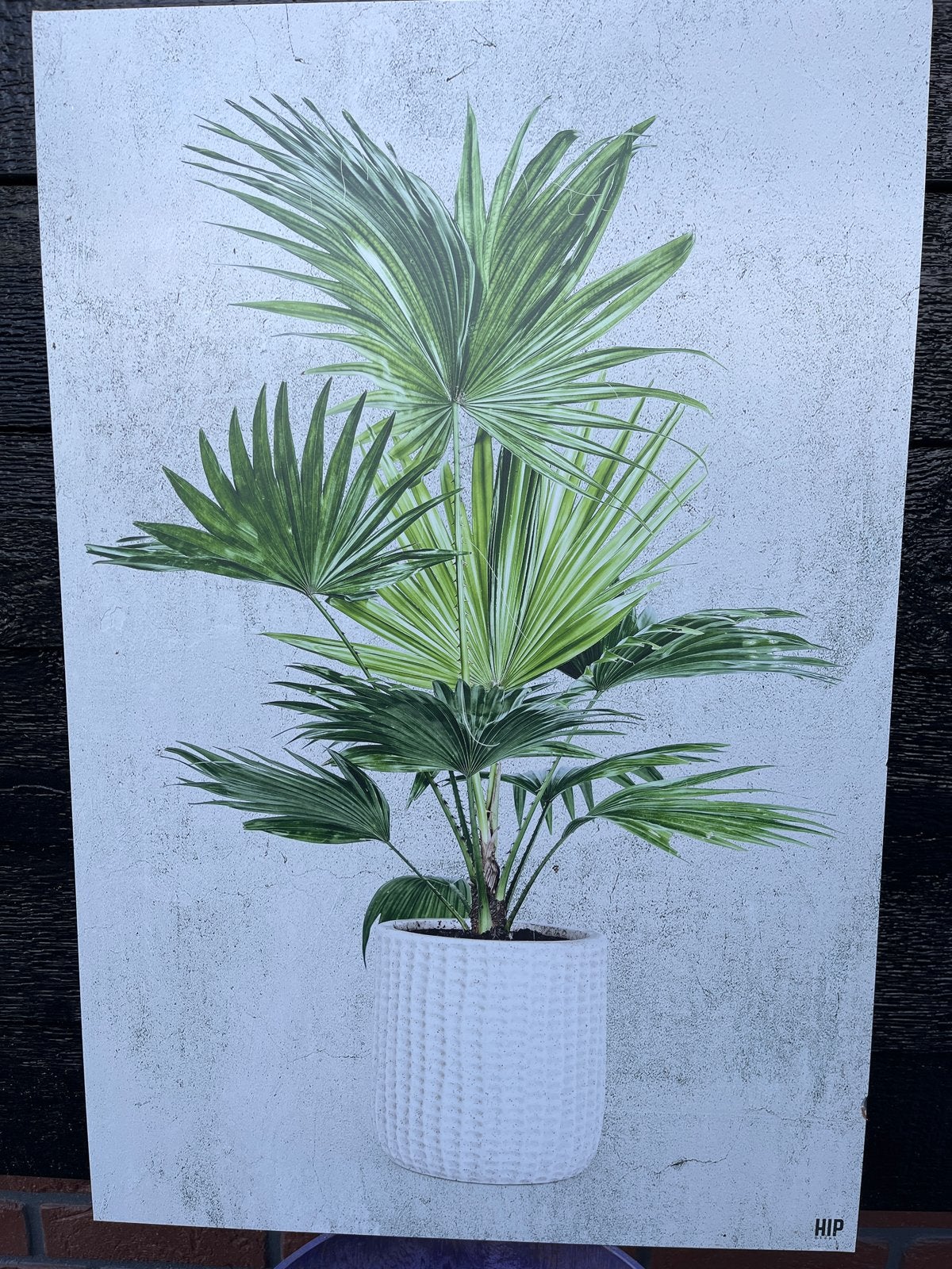 Wanddecoratie palmboom HIP ORGNL, Huis en Inrichting, Woonaccessoires | Wanddecoraties, Gebruikt, Schilderij, Botanisch, Groen