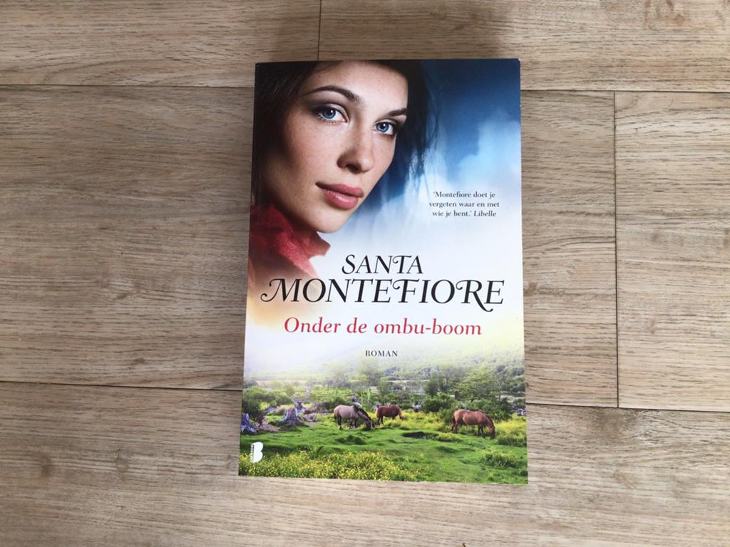 Santa Montefiore Onder de ombu- boom, Ophalen, Gelezen