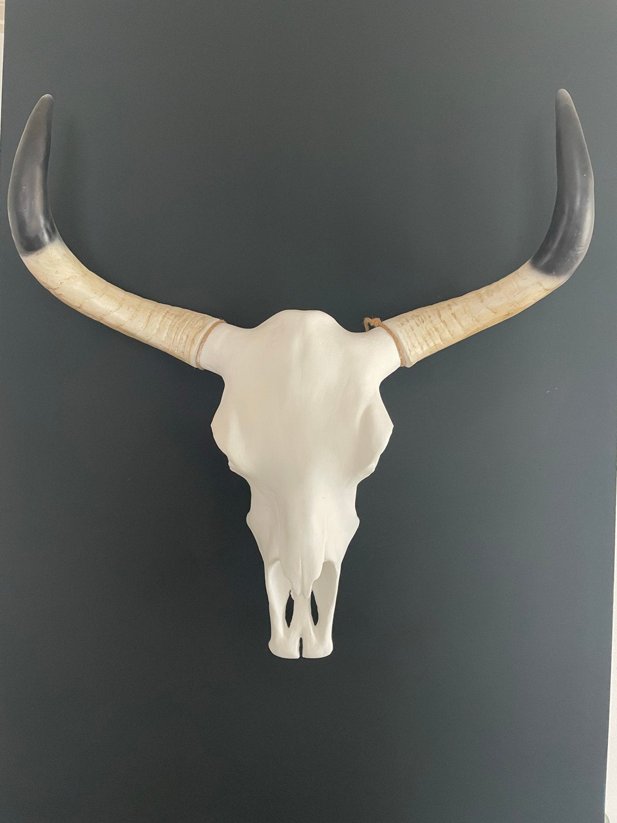Decoratieve Buffelschedel met Hoorns - Wanddecoratie, Kunststof, Ophalen of Verzenden, Zo goed als nieuw, Modern