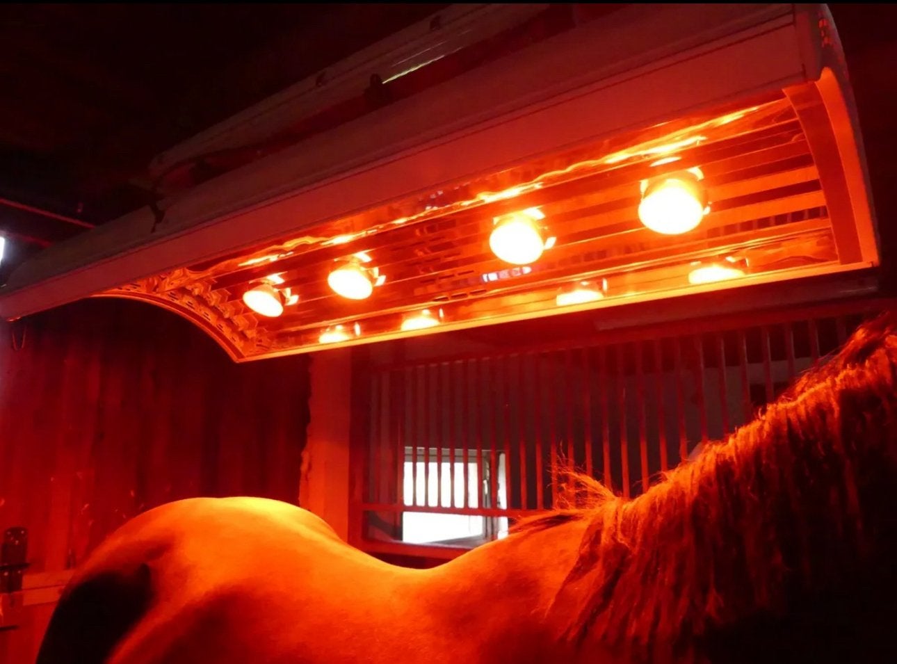 Solarium, Paardensolarium met ketting & ventilator, 8 lampen, Ophalen of Verzenden