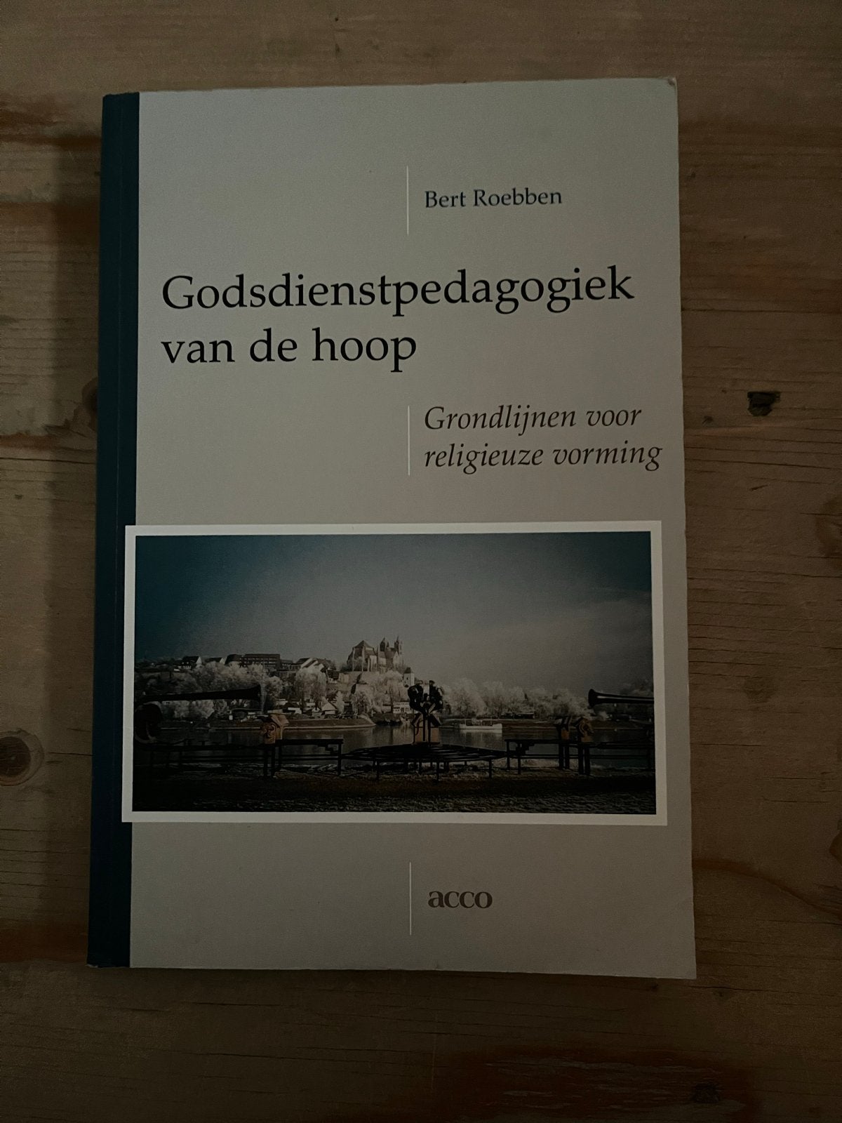 Godsdienstpedagogiek van de hoop - Bert Roebben, Boeken, Godsdienst en Theologie, Ophalen of Verzenden, Gelezen, Christendom | Katholiek