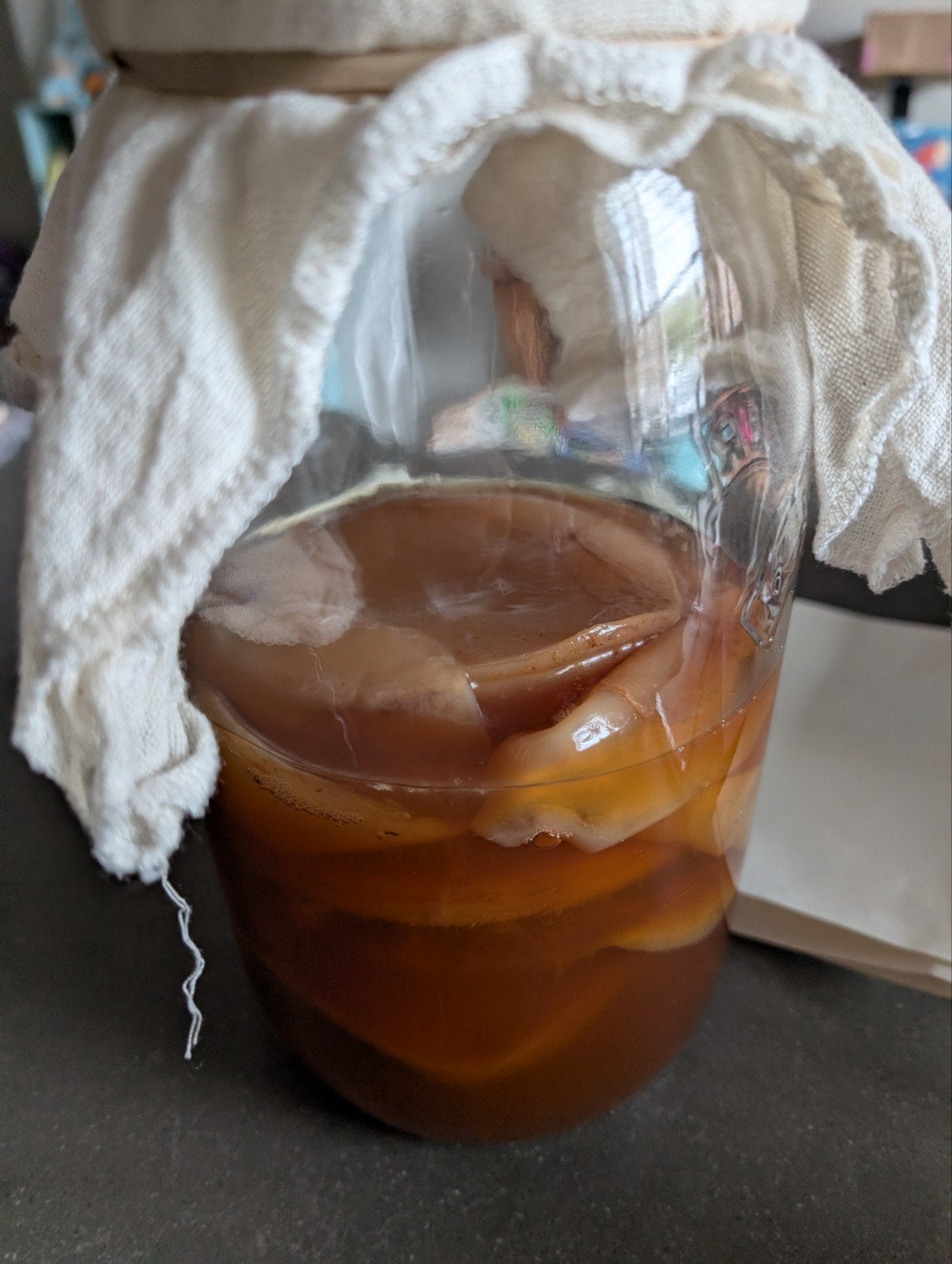 Kombucha scoby, Ophalen