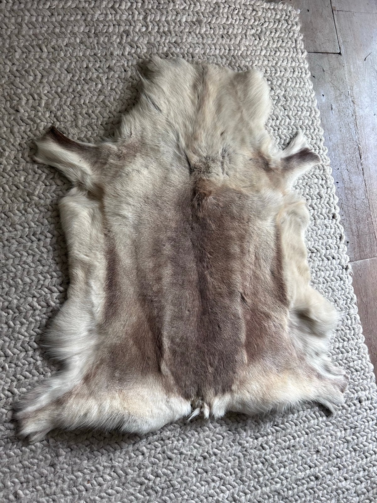 Prachtig rendiervel - Natuurlijke decoratie, Gebruikt, 100 tot 150 cm, Beige, Overige vormen