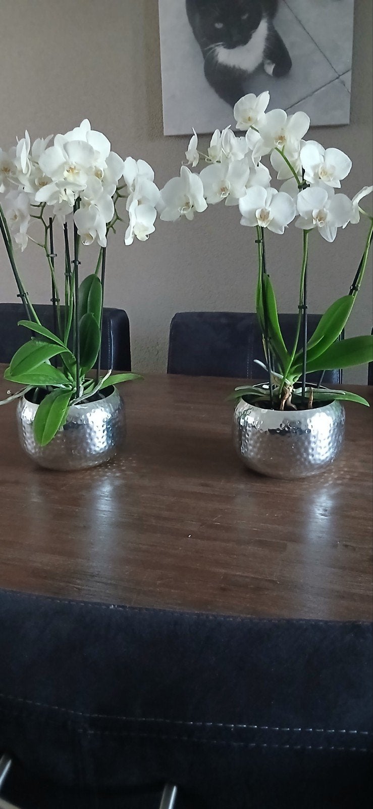 Zilverkleurige 2 bloempotten+1vaas+3windlichthouders, Ophalen of Verzenden, Zo goed als nieuw, Zilver, Modern