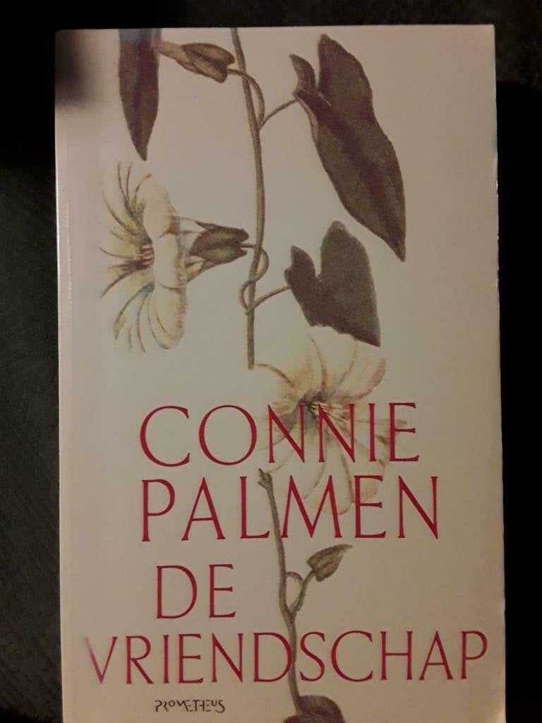 Connie Palmen - De Vriendschap, Ophalen of Verzenden