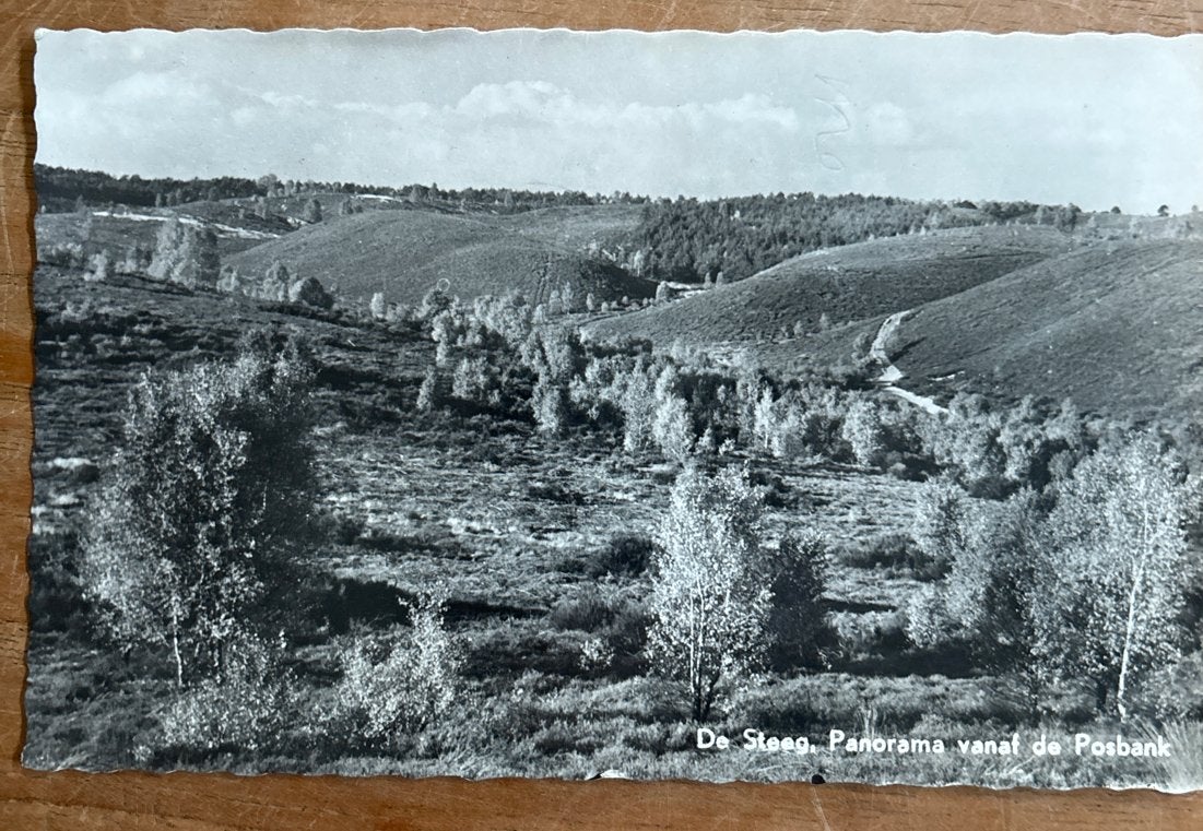 Oude ansichtkaart De Sleep, Panorama vanaf de Posbank, Ophalen of Verzenden, 1920 tot 1940, Gelopen, Gelderland