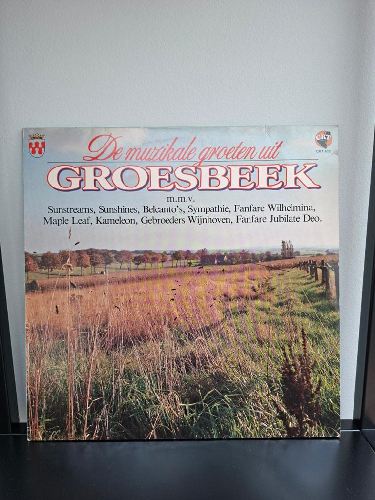 De Muzikale Groeten Uit Groesbeek - Collectors Item Deel 2, Gebruikt, 1980 - 1989, Ophalen of Verzenden, 12 inch