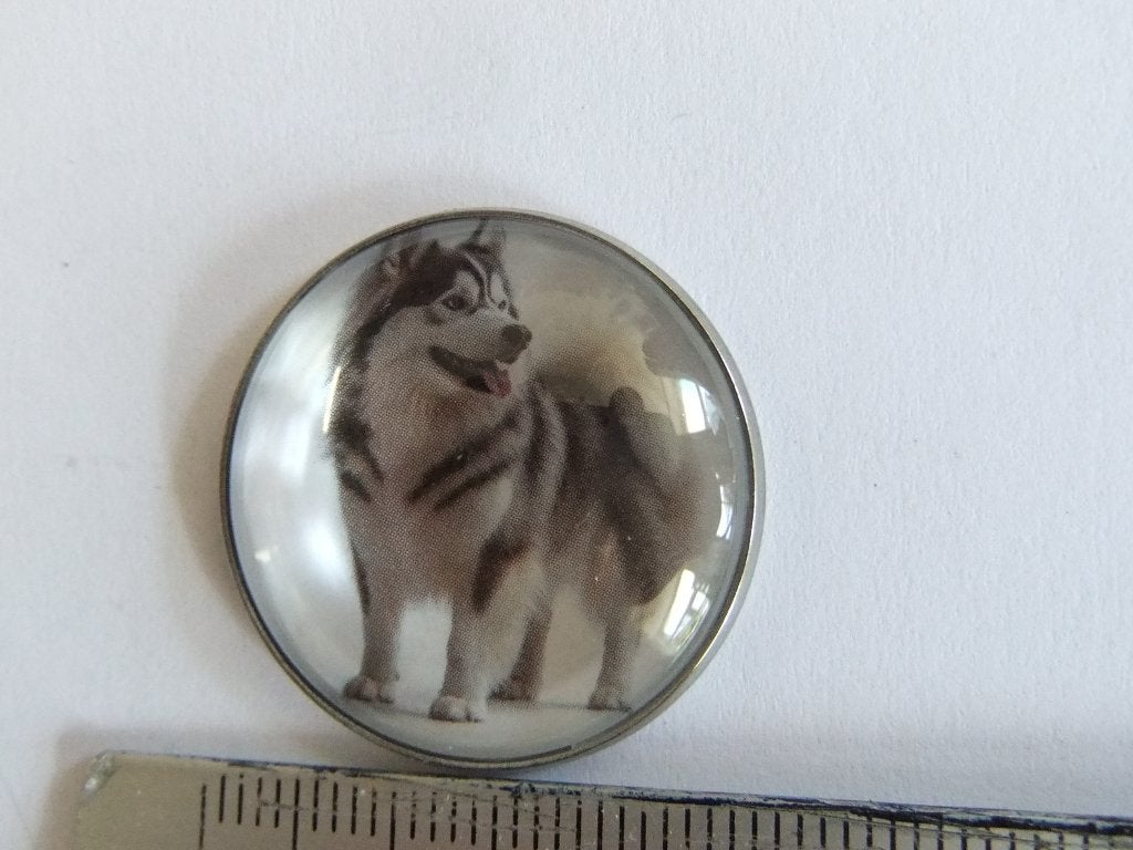 Mooie Husky pin ofspeldje, Verzamelen, Speldjes, Pins en Buttons, Ophalen of Verzenden, Nieuw, Dier of Natuur, Speldje of Pin