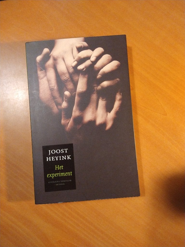 Heyink, Joost Het experiment, Boeken, Ophalen of Verzenden, Zo goed als nieuw