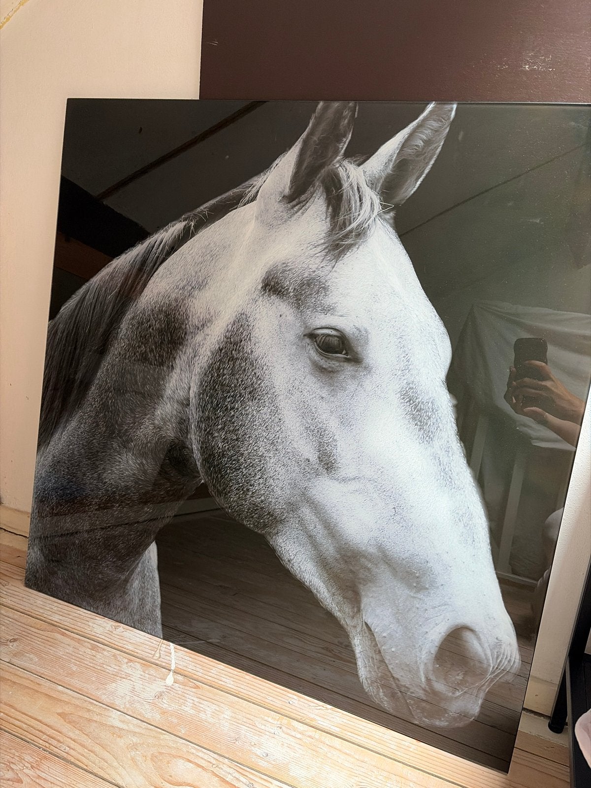 Groot schilderij van een paard - Zwart-wit, Antiek en Kunst, Kunst | Schilderijen | Modern, Ophalen