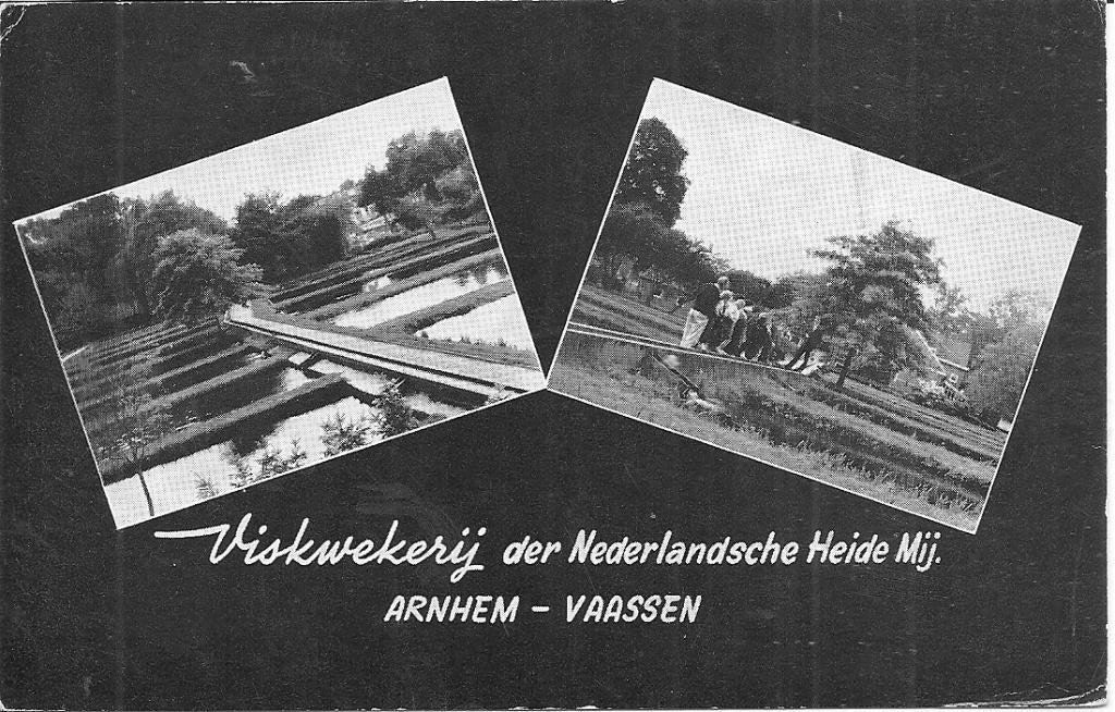 Viskwekerij   Arnhem Vaassen., Ophalen of Verzenden, 1960 tot 1980, Ongelopen, Gelderland