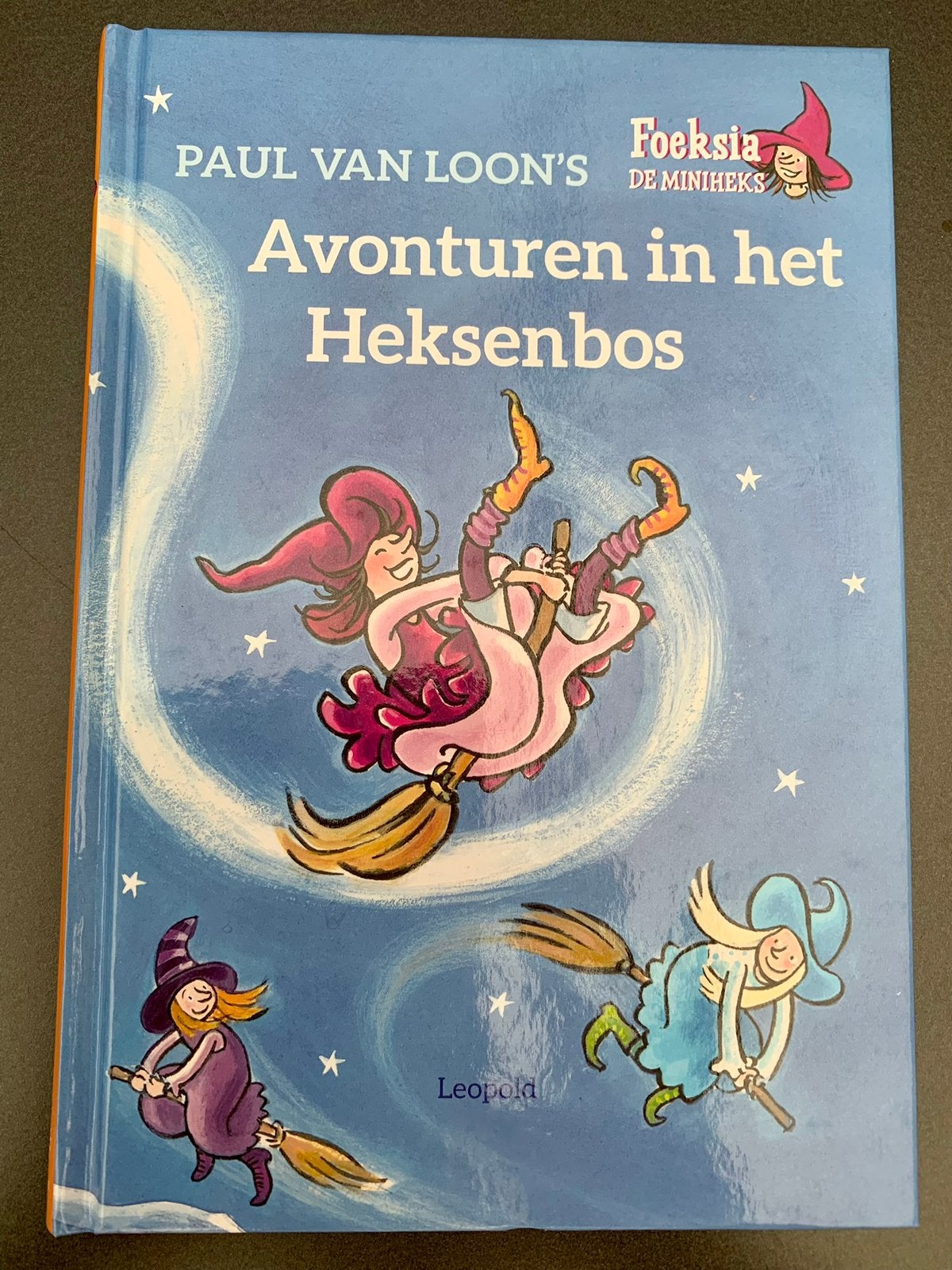 TE KOOP: Avonturen in het Heksenbos - Paul van Loon ZGAN, Ophalen of Verzenden, Zo goed als nieuw, Fictie algemeen
